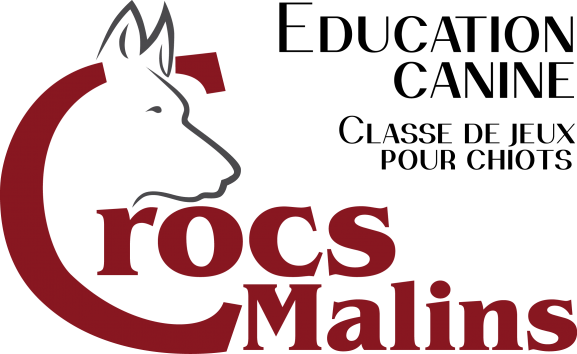 Logo crocs malins