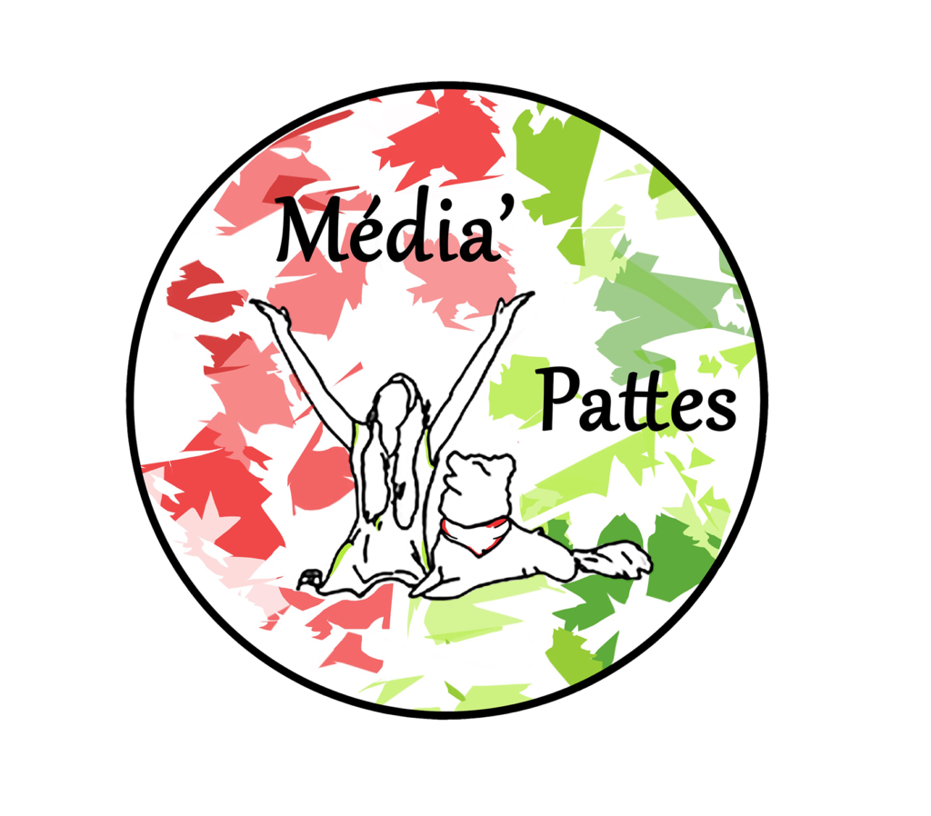 media pattes education canine logo