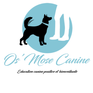 chien noir fond bleu logo