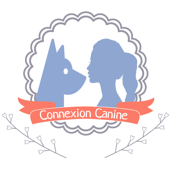 connexion canine