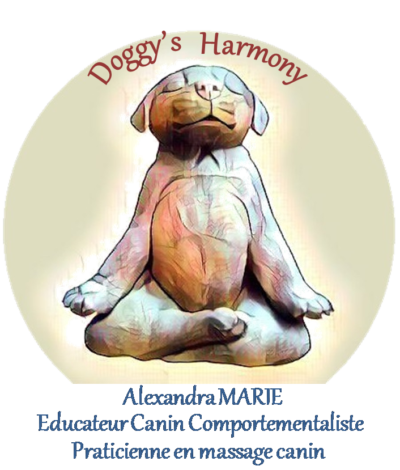CHIEN MARRON DOGGY'S HARMONY