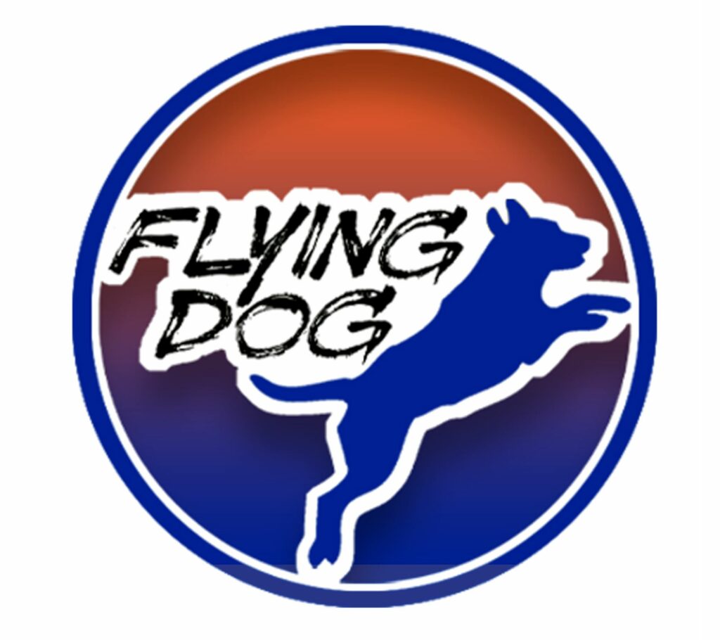 flying dof education