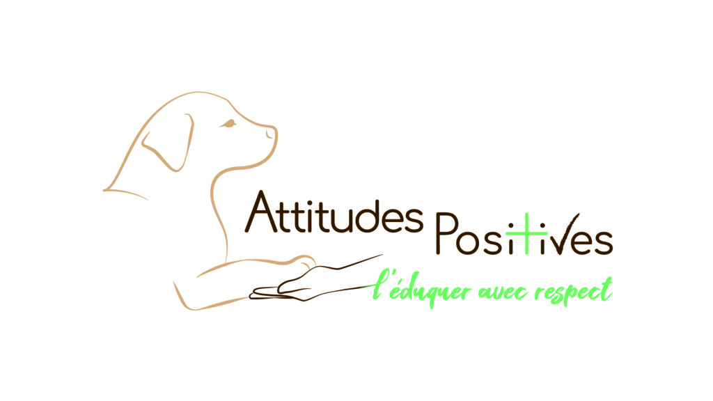 attitudes positives