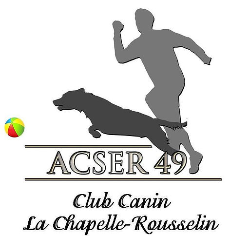 Logo ACSER49