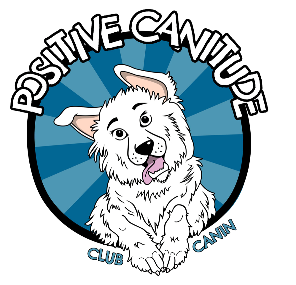 Logo Positive Canitude