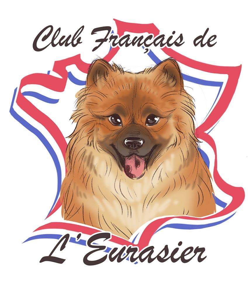Logo Club Francais de l'Eurasier association à but non lucratif 