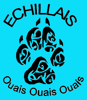 Logo Club des carrières Noire d'Echillais