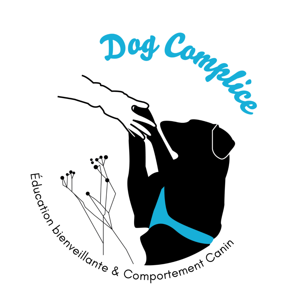 Logo Dog Complice Educateur comportementaliste canin