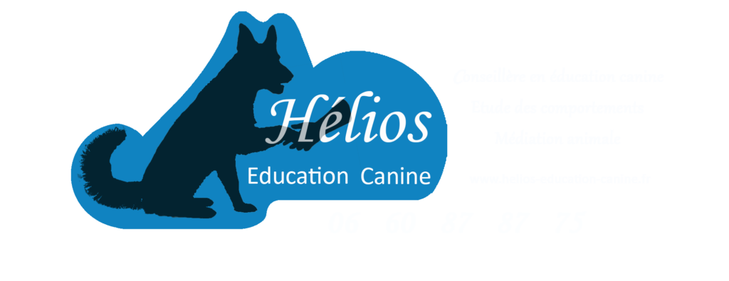 helios education canine logo