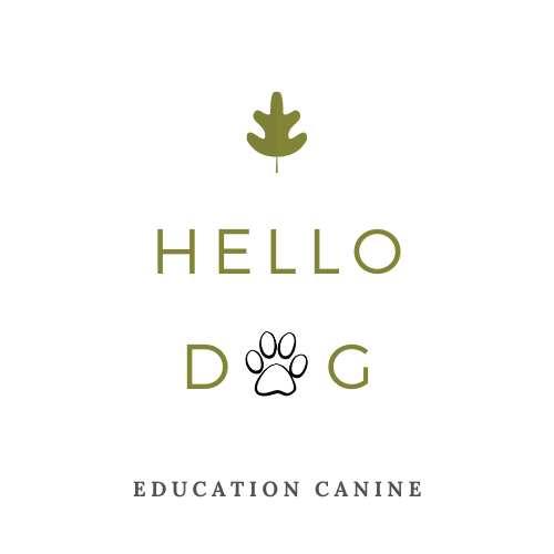 Logo Hello Dog