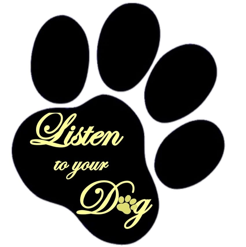 listen to your dog