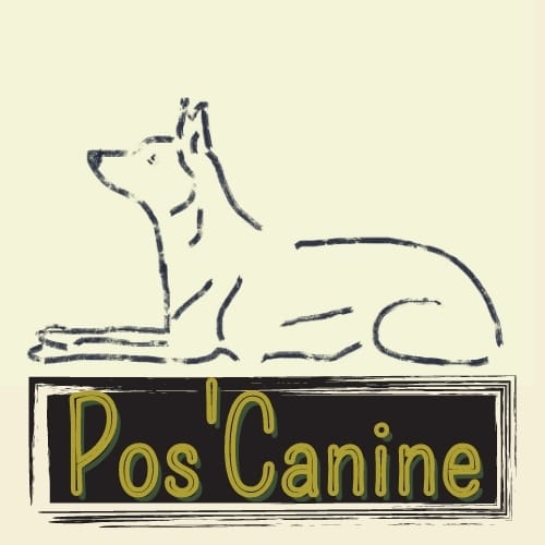 pos'canine chien 
