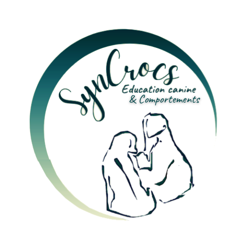 syncrocs logo blanc