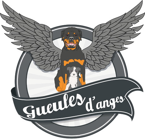 logo Gueules d anges molosse chiens catégorisés