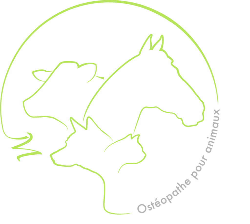 Logo Ostéopathe pour animaux