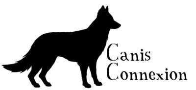 Logo Canis Connexion médiation animale