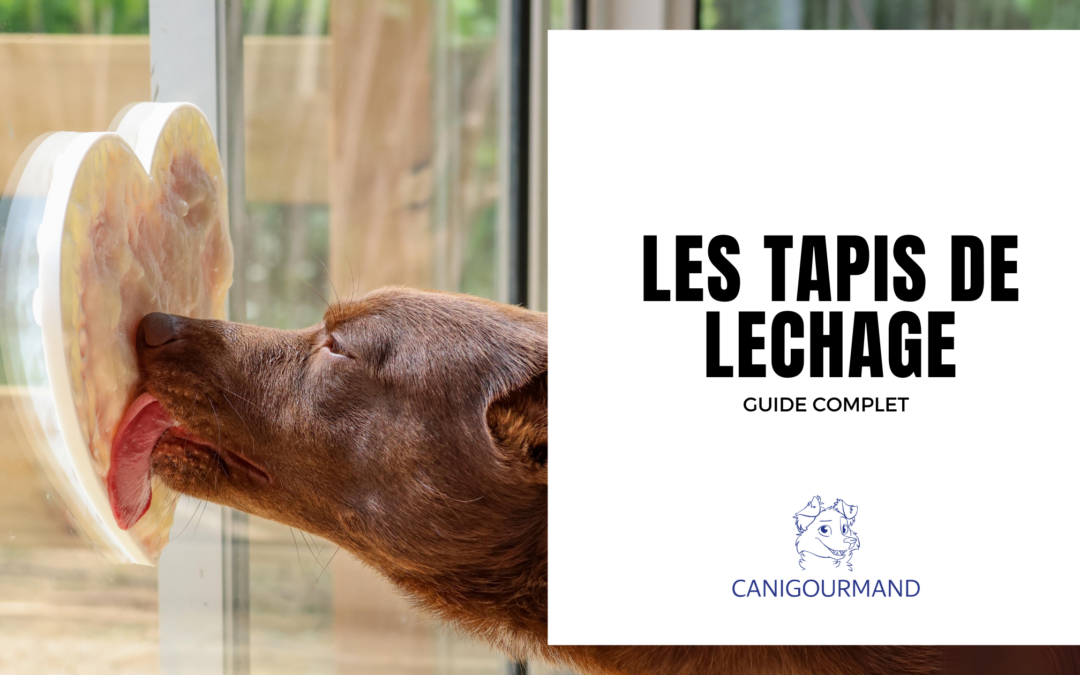 Tout savoir sur les tapis de léchage pour chien