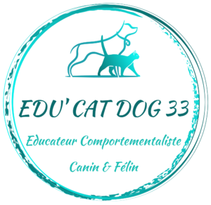 edu'cat dog 33 bleu blanc