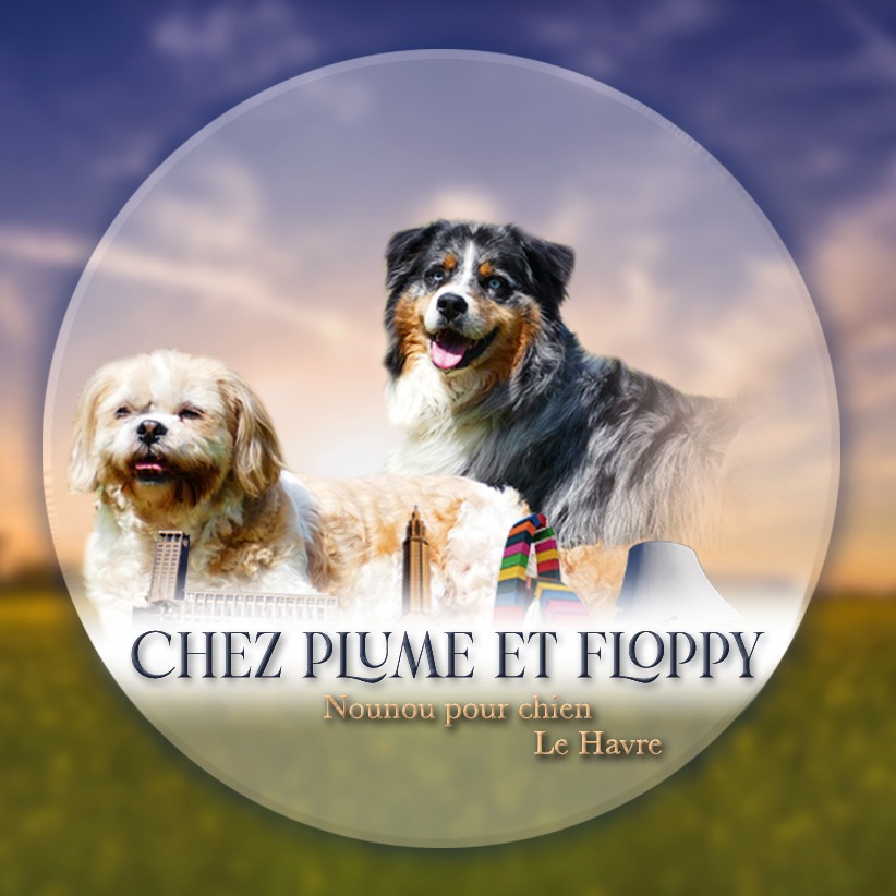 Logo Chez Plume et Floppy