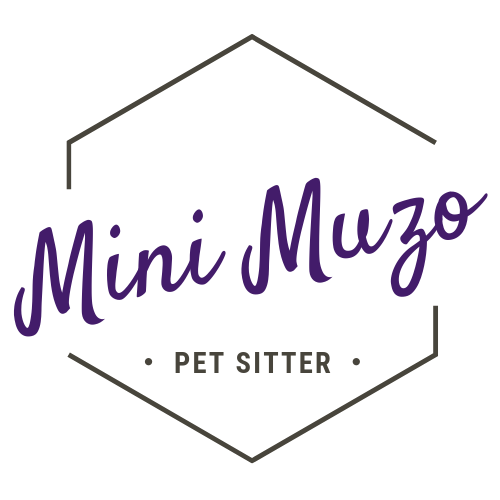 Logo Mini Muzo