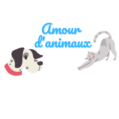 amour d'animaux logo