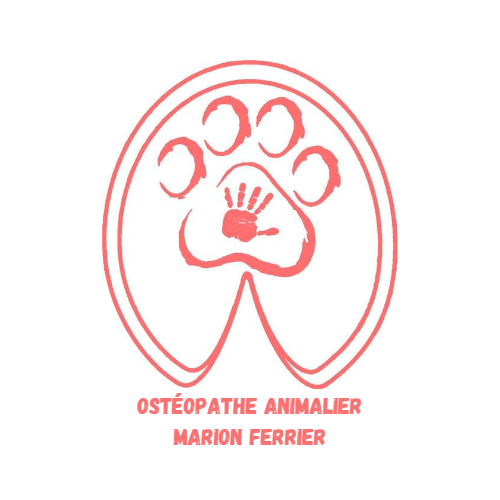 Logo Osthéopathe animalier Marion Ferrier