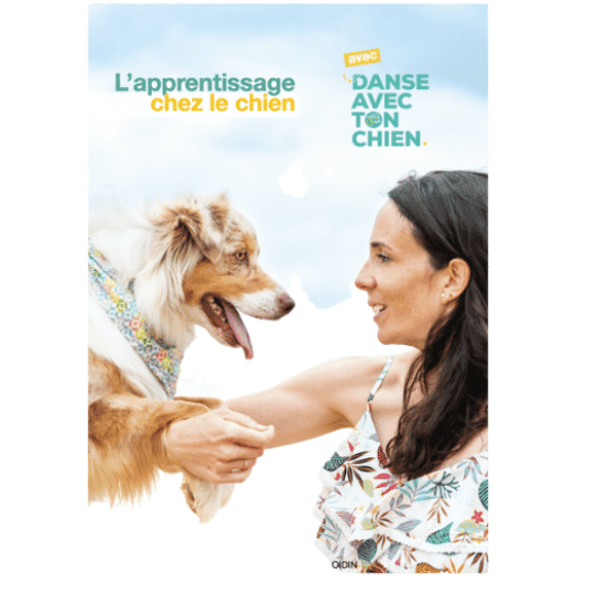 L'apprentissage chez le chien est un livre basé sur l'éducation positive. Des exercices faciles à mettre en place sont proposés accompagnés de schémas.  