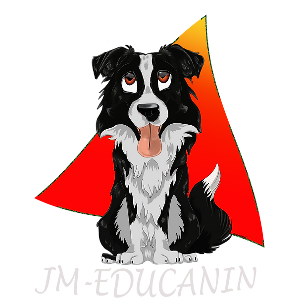Logo JM Educanin Educateur canin positif