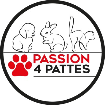 Logo passion4patte