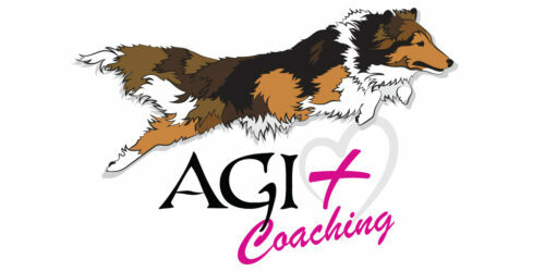 agi + coaching educateur canin