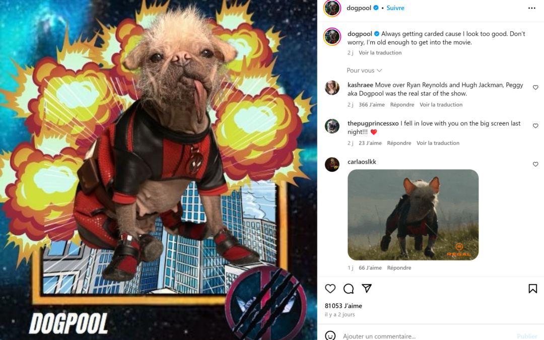 Dogpool, le Chien de Deadpool : Une Nouvelle Star Canine au cinéma