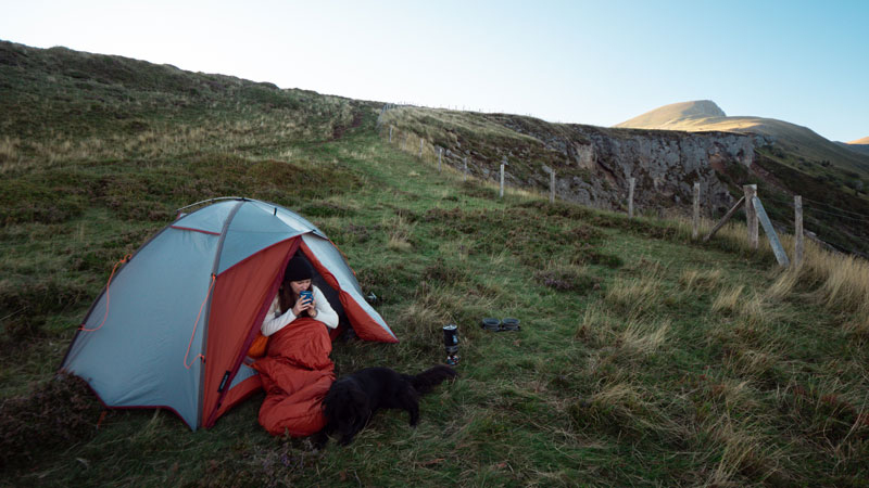 Trouver le bon hébergement pour voyager avec son chien