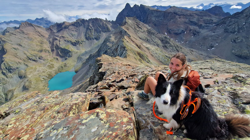 Trouver des activités dogfriendly pour voyager avec son chien