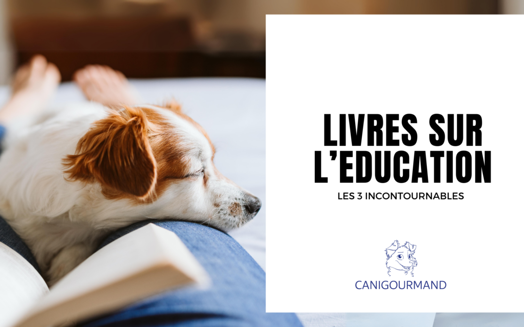 Top 3 des Livres Incontournables sur l’Éducation Canine