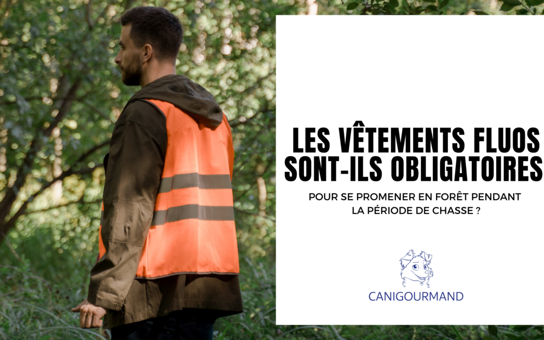 Les vêtements fluos sont-ils obligatoires pour se promener en forêt pendant la période de chasse ?