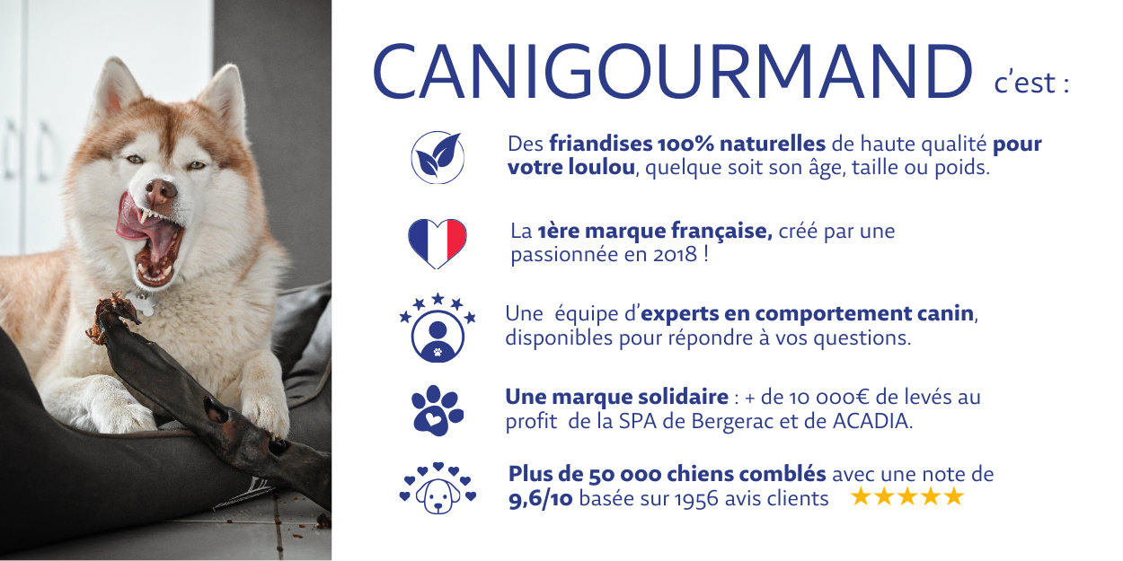 canigourmand